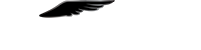 https://blackwingfunding.com/wp-content/uploads/2023/04/Logo.png 2x
